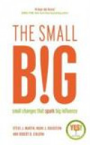 The Small Big -- Bok 9781781252758