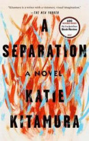 A Separation: A Novel -- Bok 9780399576119