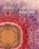 Molecular Cell Biology -- Bok 9781429234139