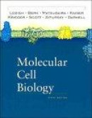 Molecular Cell Biology -- Bok 9780716743668