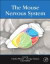 The Mouse Nervous System -- Bok 9780123694973