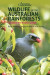 Wildlife of the Australian Rainforests -- Bok 9781913679033