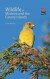 Wildlife of Madeira and the Canary Islands -- Bok 9781400889266