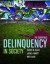 Delinquency In Society: The Essentials -- Bok 9780763777906