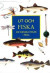 Ut och fiska : 100 svenska fiskar i färg -- Bok 9789187841088