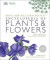 RHS Encyclopedia Of Plants and Flowers -- Bok 9780241343265
