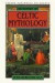 Dictionary of Celtic Mythology -- Bok 9780195089615