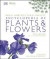 RHS Encyclopedia Of Plants and Flowers -- Bok 9780241443408