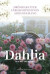 Dahlia : dr&ouml;mrabatter, f&auml;rgkomposition och arrangemang -- Bok 9789178435920