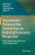 Groundwater Pollution Risk Control from an Industrial Economics Perspective -- Bok 9789811077050