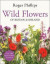 Wild Flowers -- Bok 9781529082203