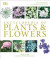Encyclopedia Of Plants And Flowers -- Bok 9781465485038