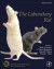 Laboratory Rat -- Bok 9780128143391