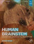 Human Brainstem -- Bok 9780128216088