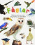 Fåglar : utforska naturen med roliga fakta och aktiviteter -- Bok 9789177790389