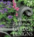 Penelope Hobhouse&#39;s Garden Designs -- Bok 9780711216914