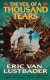 Veil of a Thousand Tears -- Bok 9780765386946