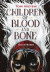 Children of blood and bone. Solstenen -- Bok 9789187879548