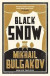 Black Snow -- Bok 9781847493538