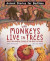 Why Monkeys Live In Trees and Other Animal Stories of the Great Outdoors -- Bok 9781913971601