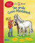 Das große Conni-Pferdebuch: mit Conni-Pony-Abenteuern von Julia Boehme - zum Mitmachen, zum lesen, mit Pferde-Wissen