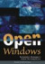 Open Windows: Remediation Strategies in Global Film Adaptations