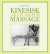 Kinesisk akupunktur massage