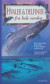 Hvaler & delfiner fra hele verden