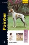 Pointer (excellence)