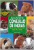 Manual Práctico Del Conejillo de Indias