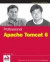 Professional Apache Tomcat 6 (WROX Professional Guides)