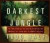 The Darkest Jungle : The True Story of the Darien Expedition and America's Ill-Fated Race to Connectthe Seas
