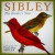 Sibley: The Birder's Year 2010 Wall Calendar