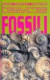Fossili. Conoscere, riconoscere e collezionare i fossili invertebrati del mondo