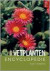 Geillustreerde vetplanten encyclopedie / druk 1