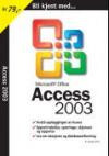 Bli kjent med Access 2003