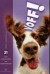 Voff! : 21 gode hundehistorier for hundemennesker