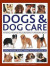 Dogs &; Dog Care
