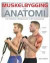 Anatomi og muskelbygging