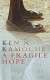 A Fragile Hope (Salt Modern Fiction S.)