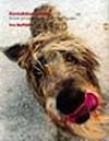 Kontaktkontraktet : en bok om människans samspel med hunden