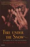 Fire Under The Snow