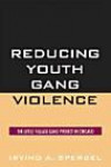 Reducing Youth Gang Violence: The Little Village Gang Project in Chicago (Violence Prevention and Policy Series)