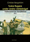 Tyska flygare under andra världskriget : veteranernas berättelser