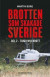 Brotten som skakade Sverige. Del 2 - tjugo nya brott
