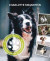 Unghunden : en handbok för alla hundägare