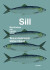 Sill - berättelser om havets silver