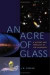 An Acre of Glass : A History and Forecast of the Telescope