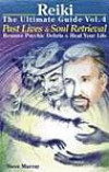 Reiki The Ultimate Guide Vol. 4 Past Lives & Soul Retrieval Remove Psychic Debris & Heal Your Life (Reiki - The Ultimate Guide)