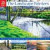 Landscape Painter's Essential Handbook